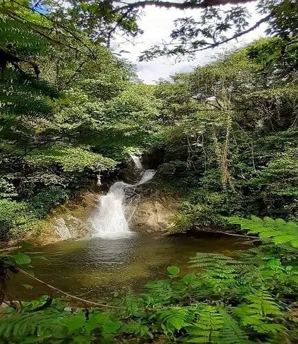 Catarata Cristal en el distrito de Pampa Hermosa, provincia de Satipo, región Junín, selva central del Perú.Lugares turisticos