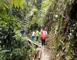 Caminata a la Catarata, Jungla Dorada, lugar turistico, en Coviriali, Satipo, Junin, Peru.Viajes.Relax