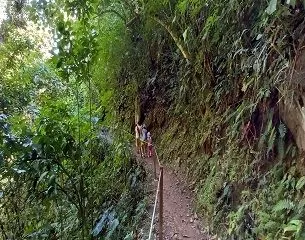 Camino a la Catarata Arco Iris, Mazamari, selva peruana, Satipo, Junin, Peru. Viajes.Relax Camino a la Catarata Arco Iris, Mazamari, selva peruana, Satipo, Junin, Peru. Viajes.Relax