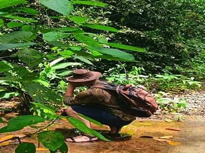 Biodiversidad amazónica