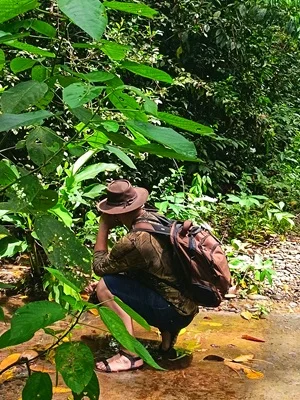 Fauna y biodiversidad amazónica